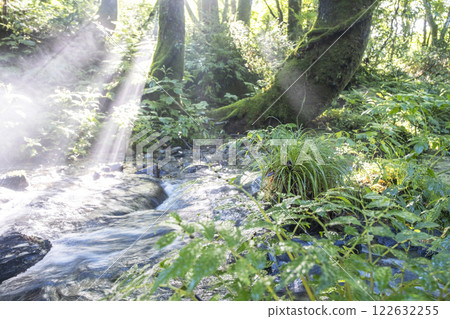 A scene of light shining on a clear stream in the forest - Oyamakiyazawa mountain stream 122632255