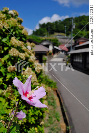 菅谷多多羅山的夏日風景（雲南吉田町） 122632315