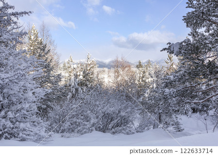 Snow peaks of Rila Mountains, Bulgaria 122633714