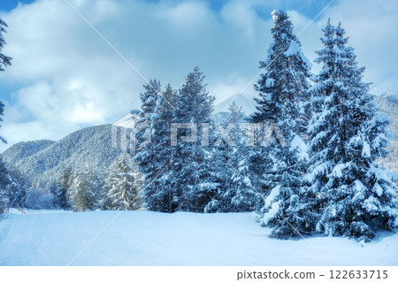 Ski resort Bansko, Bulgaria, groomed ski road 122633715