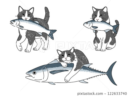 Hand-drawn illustration set of fish and cat 122633740