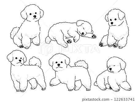 各種姿勢的比熊犬的手繪插畫集 各種姿勢的比熊犬的手繪插畫集 122633741