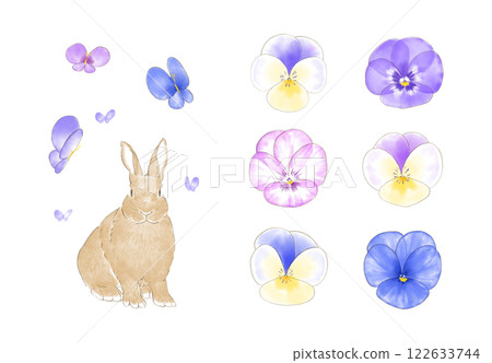 Pansy and rabbit watercolor hand-drawn illustration set 122633744