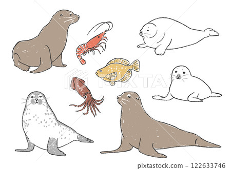 Hand-drawn illustration set of sea lions, seals and seafood Hand-drawn illustration set of sea lions, seals and seafood 122633746