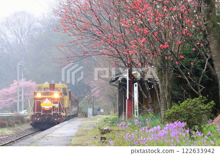 渡良瀨京國鐵道“上神梅站與花開的有軌電車” 渡良瀨京國鐵道“上神梅站與花開的有軌電車” 122633942