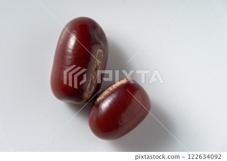 紅豆 紅豆 122634092