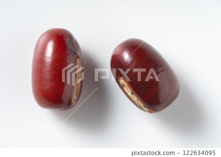 Red beans 122634095