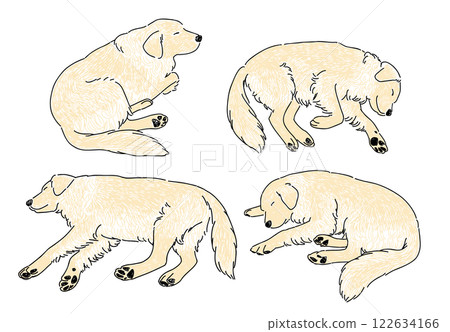 手繪插畫集睡覺的黃金獵犬 手繪插畫集睡覺的黃金獵犬 122634166