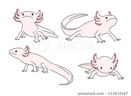 墨西哥鈍口蠑螈手繪插畫集 122634167