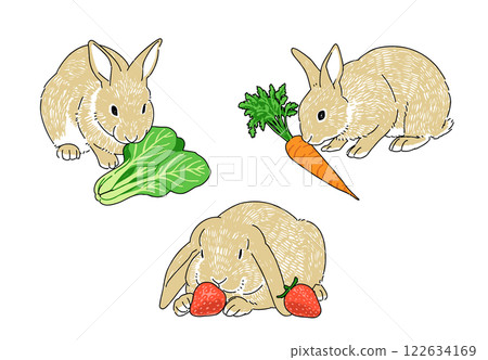 Hand-drawn illustration set of rabbits eating vegetables 122634169