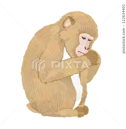 手繪的哭泣的日本獼猴插圖 手繪的哭泣的日本獼猴插圖 122634401