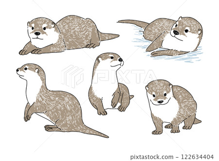 Hand-drawn illustration set of Asian small-clawed otters in various poses 122634404