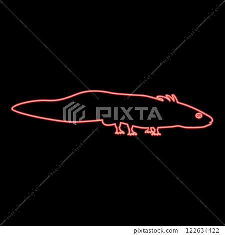 Neon axolotl ambystoma mexicanum view side red color vector illustration image flat style 122634422