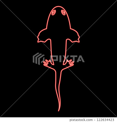 Neon axolotl ambystoma mexicanum overhead view red color vector illustration image flat style Neon axolotl ambystoma mexicanum overhead view red color vector illustration image flat style 122634423