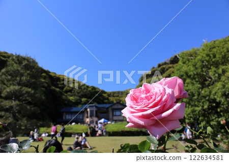 鎌倉文學館和玫瑰 鎌倉文學館和玫瑰 122634581
