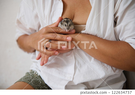 Person holding a small hamster indoors with a calming atmosphere Person holding a small hamster indoors with a calming atmosphere 122634737