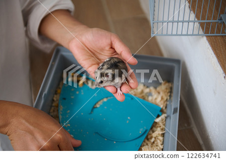Person Holding a Hamster Near a Pet Cage with Bedding Person Holding a Hamster Near a Pet Cage with Bedding 122634741