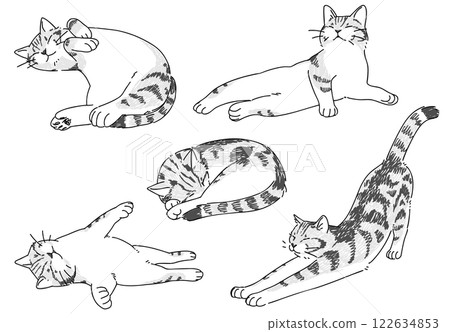 Sleeping cat hand drawn illustration set 122634853