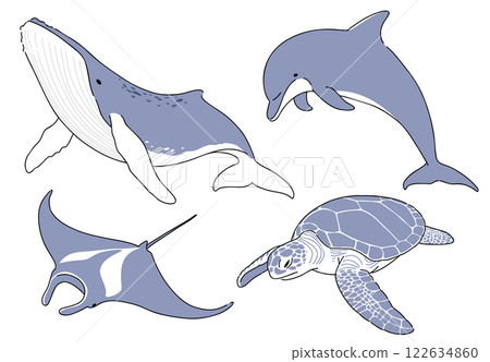 Hand-drawn illustrations of whales, dolphins and marine life 122634860