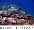 基布加奧卡海灘附近的珊瑚礁（第一部分） 122635007