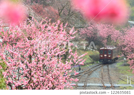 渡良瀨溪谷鐵道“從神戶站看到的桃花環繞的風景” 渡良瀨溪谷鐵道“從神戶站看到的桃花環繞的風景” 122635081
