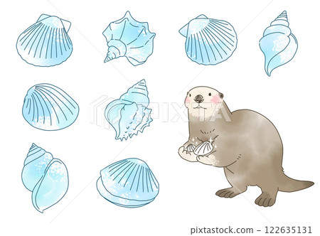 Sea otter and shell watercolor illustration set 122635131