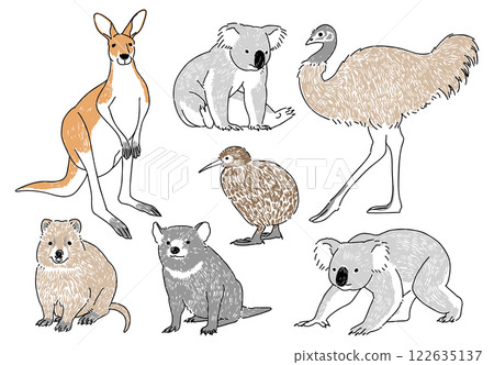 Set of hand drawn illustrations of famous Australian animals Set of hand drawn illustrations of famous Australian animals 122635137