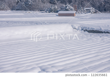 Silky snow surface [Rice field] 122635661