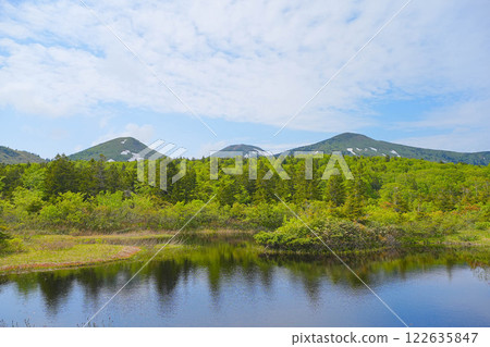 Water lily field Water lily field 122635847