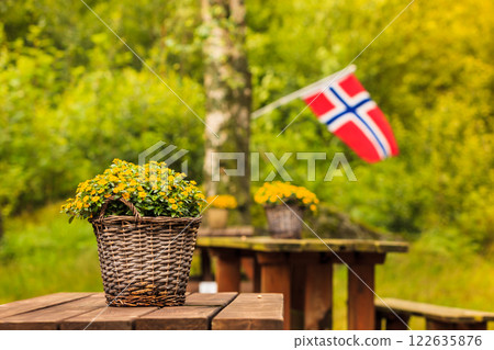 norwegian flag and green picnic site 122635876