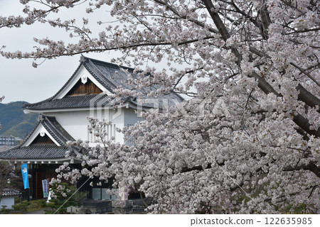 Cherry blossoms at Katsuruji castle in Kyoto Cherry blossoms at Katsuruji castle in Kyoto 122635985