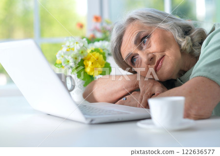 Beautiful elderly woman using a laptop at home Beautiful elderly woman using a laptop at home 122636577