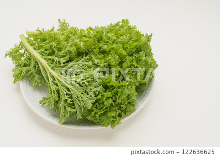 芥末綠色 122636625