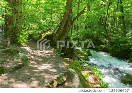 Oirase stream Oirase stream 122636667