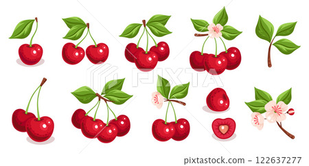 Cherry Berry Set on Isolated Background. Realistic Hand-Drawn Illustration with Fresh Fruits, Half-Slices, Blossoms, and Green Leaves. No AI Cherry Berry Set on Isolated Background. Realistic Hand-Drawn Illustration with Fresh Fruits, Half-Slices, Blossoms, and Green Leaves. No AI 122637277