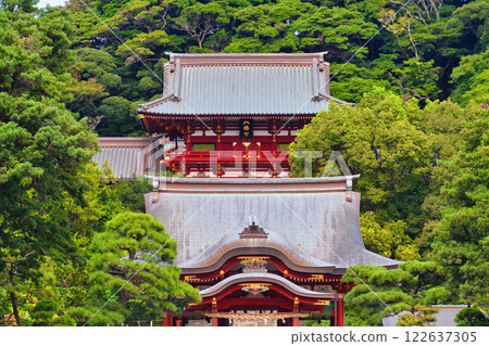 鶴岡八幡宮（神奈川縣鎌倉市） 122637305