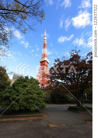 透過芝公園的樹木可以看到塔 透過芝公園的樹木可以看到塔 122637322