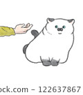 Cat doesn't want to be touched 122637867