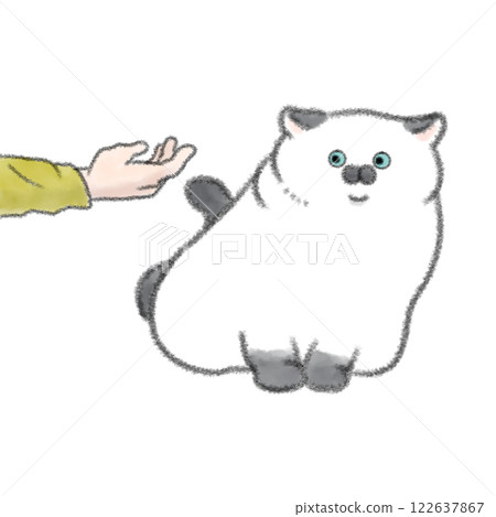 Cat doesn't want to be touched Cat doesn't want to be touched 122637867
