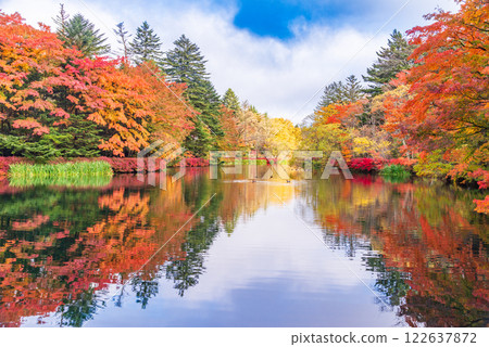 [Nagano Prefecture] Autumn leaves at Kumobaike Pond - Autumn reflected on the lake surface 122637872