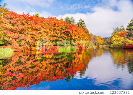 [Nagano Prefecture] Autumn leaves at Kumobaike Pond - Autumn reflected on the lake surface 122637881