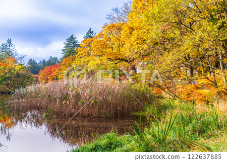 [Nagano Prefecture] Autumn leaves at Kumobaike Pond - Autumn reflected on the lake surface 122637885