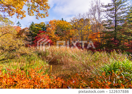 [Nagano Prefecture] Autumn leaves at Kumobaike Pond - Autumn reflected on the lake surface 122637886