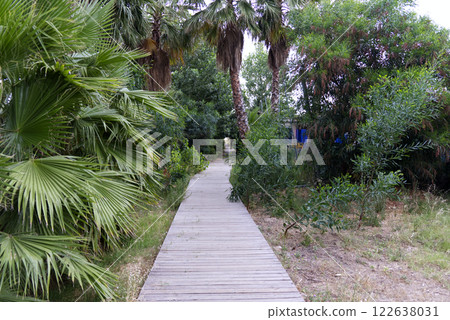 jetty on the beach in the middle of palm trees jetty on the beach in the middle of palm trees 122638031