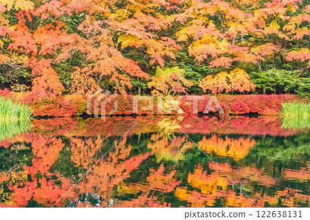 【長野縣】雲柏池的紅葉 - 倒映在湖面上的秋色 122638131