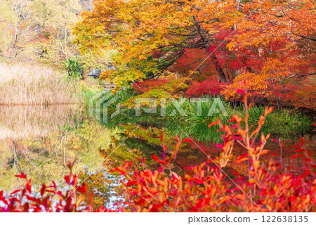 【長野縣】雲柏池的紅葉 - 倒映在湖面上的秋色 122638135