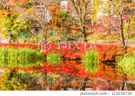 【長野縣】雲柏池的紅葉 - 倒映在湖面上的秋色 122638136