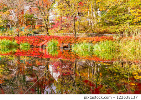 【長野縣】雲柏池的紅葉 - 倒映在湖面上的秋色 122638137