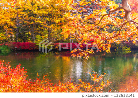 【長野縣】雲柏池的紅葉 - 倒映在湖面上的秋色 122638141