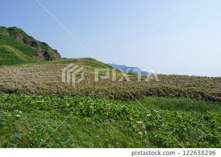 Stroll around Cape Kamui (Shakotan Town) Stroll around Cape Kamui (Shakotan Town) 122638296